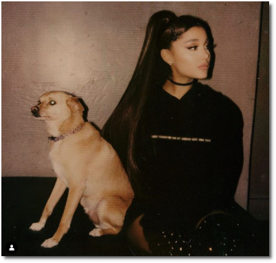 Ariana and Toulouse, the most stable part of her twenties (22 Dec 2018)