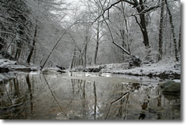 Bare snowy trees reflect on the surface of icy water during the winter solstice